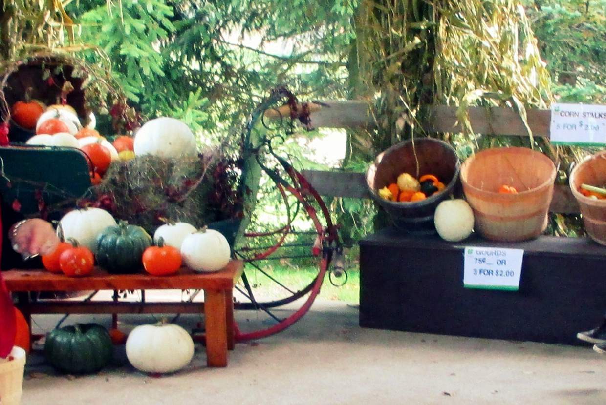 Farms to visit in Greater Toronto Area Family Fun Farm Trips