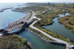What to See and Do at the New Jim Tovey Lakeview Conservation Area at Mississauga Waterfront