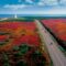 10 Fall Getaways in New Brunswick