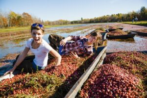 10 Fantastic Fall Activities in Ontario