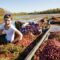 10 Fantastic Fall Activities in Ontario