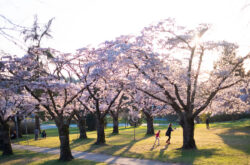 10 Ideas For Spring Getaways in British Columbia