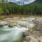 7 Ideas For a Day Trip From Calgary in June
