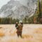 10 Mother’s Day Weekend Getaway Ideas in Alberta