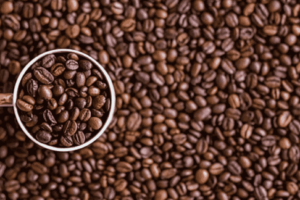 10 Must Visit Coffee Shops in Edmonton