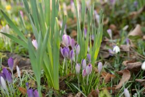 10 Outdoor Spaces to Enjoy Spring in Winnipeg