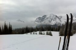 10 Provincial Parks For a Winter Day Trip Near Calgary