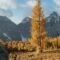 10 of the Best Places to Enjoy Fall Colours in the Kootenays, British Columbia