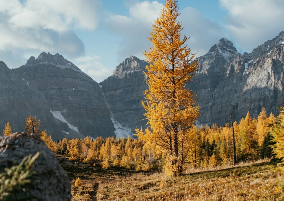 10 of the Best Places to Enjoy Fall Colours in the Kootenays, British Columbia