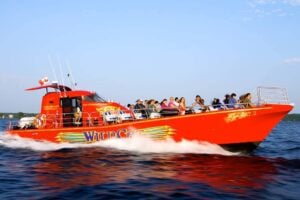 20+ Things to Do in Brockville during Summer