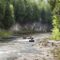 Elora Tubing