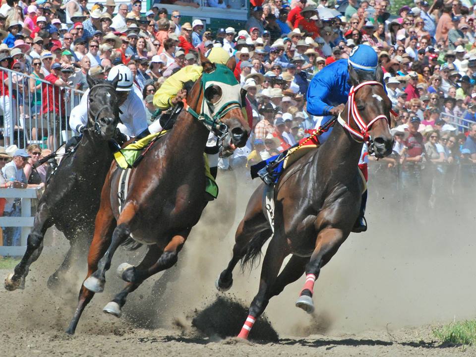 millarville races
