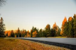 Things to Do on a Fall Trip to Diamond Valley - Turner Valley & Black Diamond