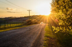 12 Things to Do This Summer in and Around Lac Ste. Anne