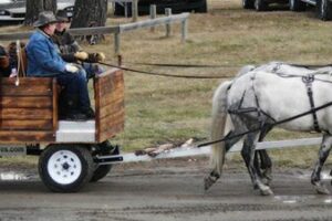 Millarville Christmas Market
