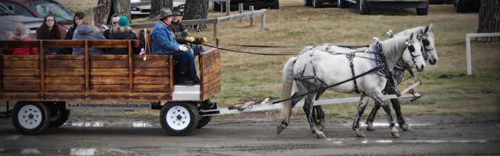 Millarville Christmas Market