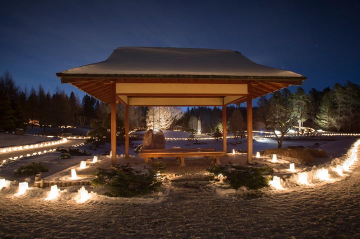 25 Things to Do during Winter in and around Parkland County