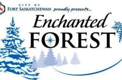 Enchanted Forest