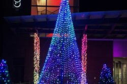 Celebration of Lights