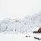 15 Christmas Break/Winter Holiday Getaways in Manitoba