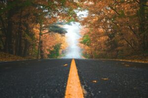 15 Fall Colour Driving Routes in Central Ontario