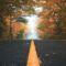 15 Fall Colour Driving Routes in Central Ontario