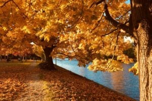 15 Fantastic Fall Getaways in Manitoba
