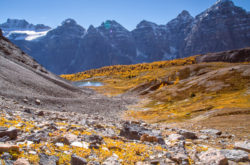 15 Fall Hikes to See Golden Larches in and Around Calgary