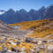 15 Fall Hikes to See Golden Larches in and Around Calgary