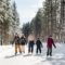 15 Family Winter Getaways in Ontario