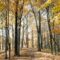 15 Fantastic Fall Colour Hikes Around Winnipeg