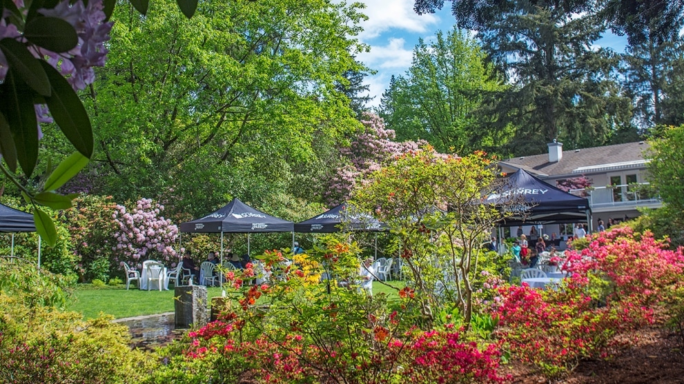 15 Fun Things To Do and around Vancouver For Mother's Day