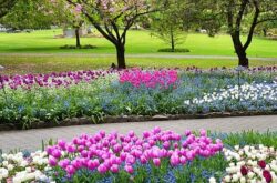 10+ Things To Do In Victoria To Celebrate Mom - 2026