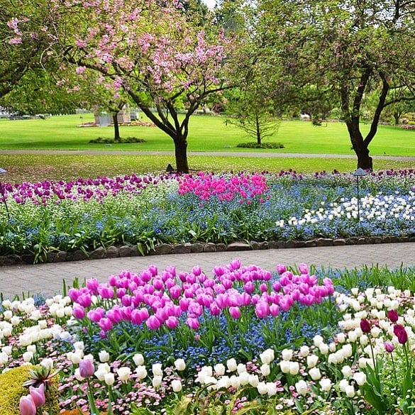 15 Things To Do On Vancouver Island To Celebrate Mom