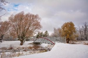15 Places to Go For A Winter Walk in Winnipeg