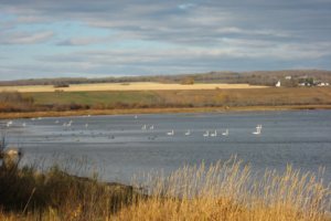 15 Things to Do During Fall Around Grande Prairie