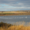 Things to Do During Fall Around Grande Prairie