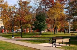 15 Things to Do Thanksgiving weekend in Charlottetown