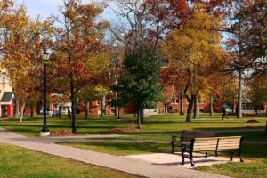 15 Things to Do Thanksgiving weekend in Charlottetown