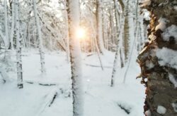 Things to Do during Family Day Weekend in Saint John