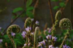 25 Things to Do During Spring in New Brunswick - 2026