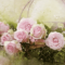 Places to Get Mother’s Day Flowers, Gifts and and Brunch in Saint John