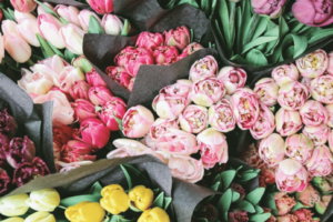 15 Things to Do to Celebrate Mother's Day in St. John's
