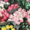 Places For Mother's Day Brunch, Flower, and Gifts in St. John's