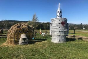 15 Things to Do this Thanksgiving Weekend in St. John's
