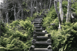 15 of the Best Hikes in Newfoundland and Labrador