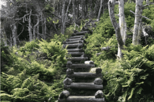 15 Best Hikes in Newfoundland and Labrador