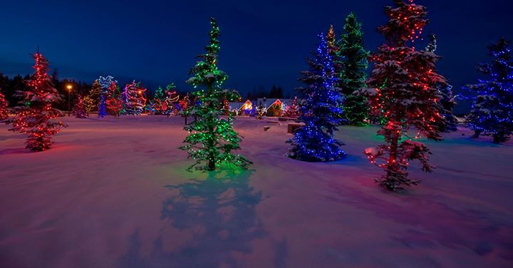 Christmas in Central Park | Central Park, 450 King Street, Spruce Grove ...