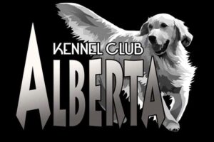 AKC Winter Classic Show