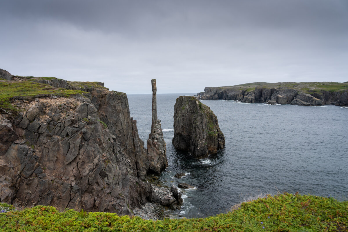 Newfoundland’s Spectacular Celebration of Arts, Bonavista Biennale